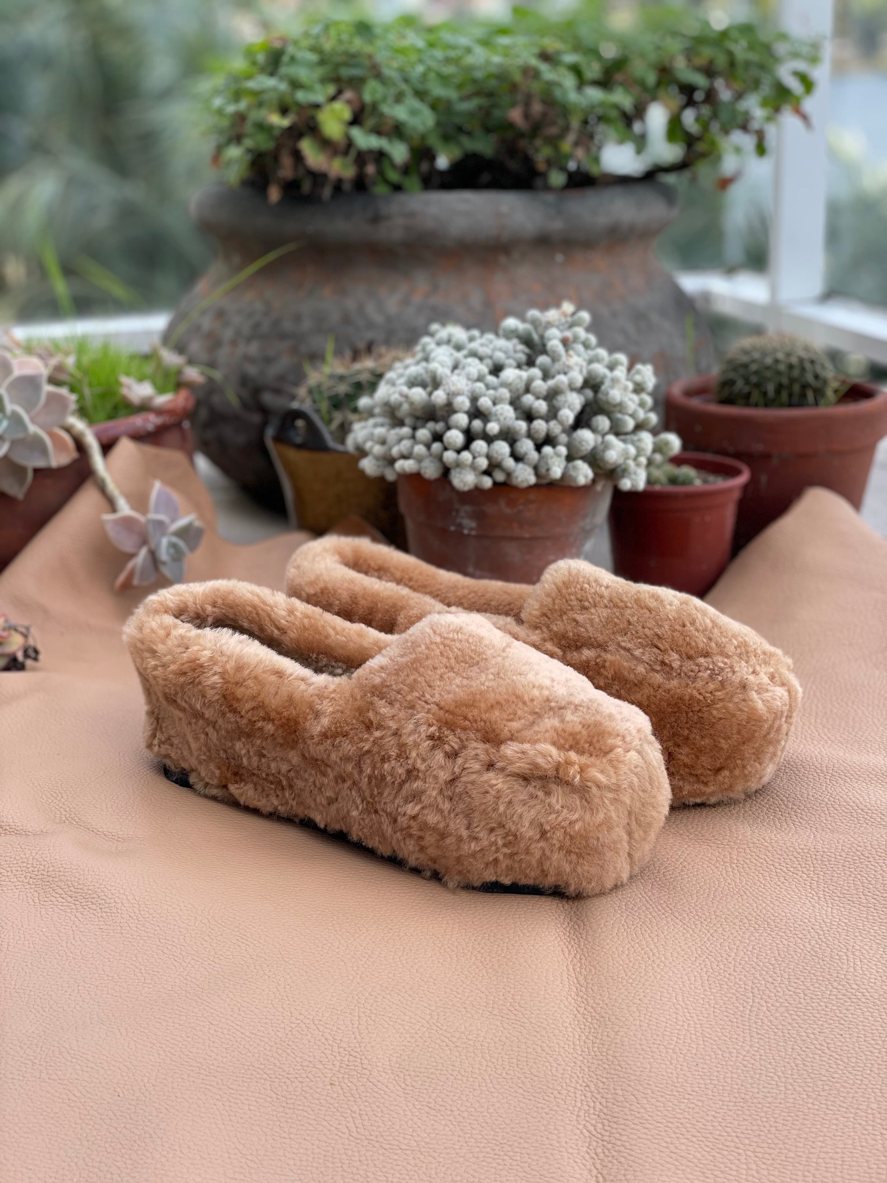 Pantufla adulto clásica miel